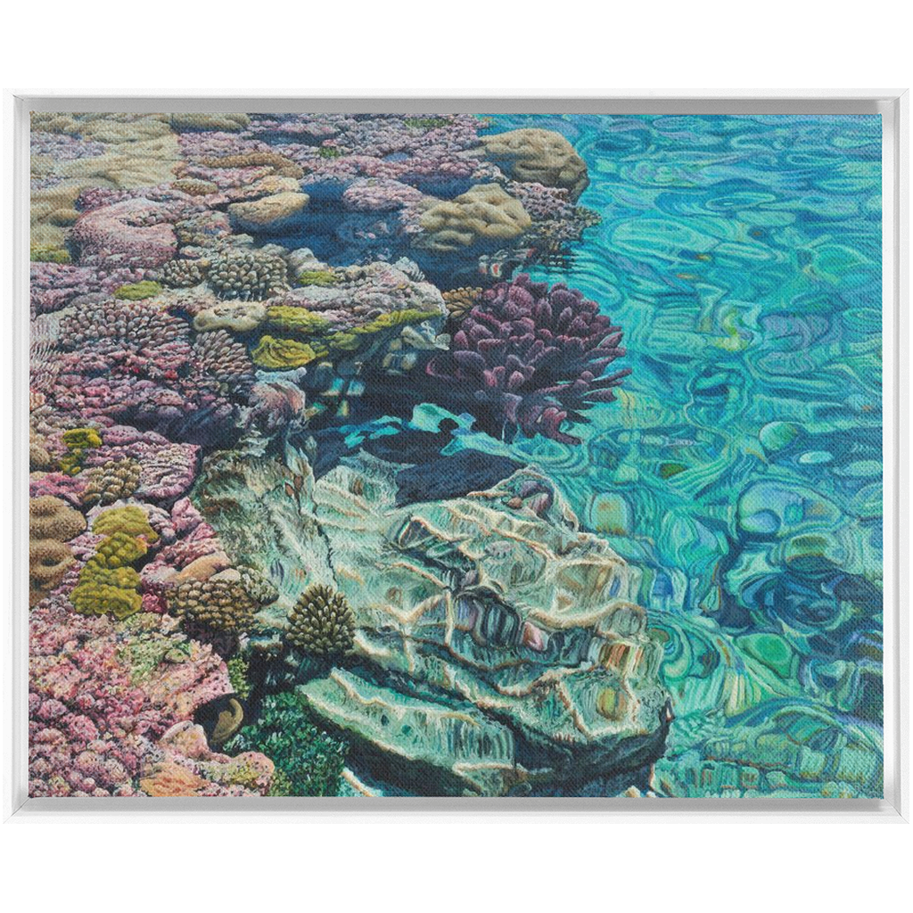 Coral Apocalypse