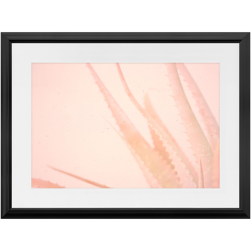 Elegant Imperfections No.1