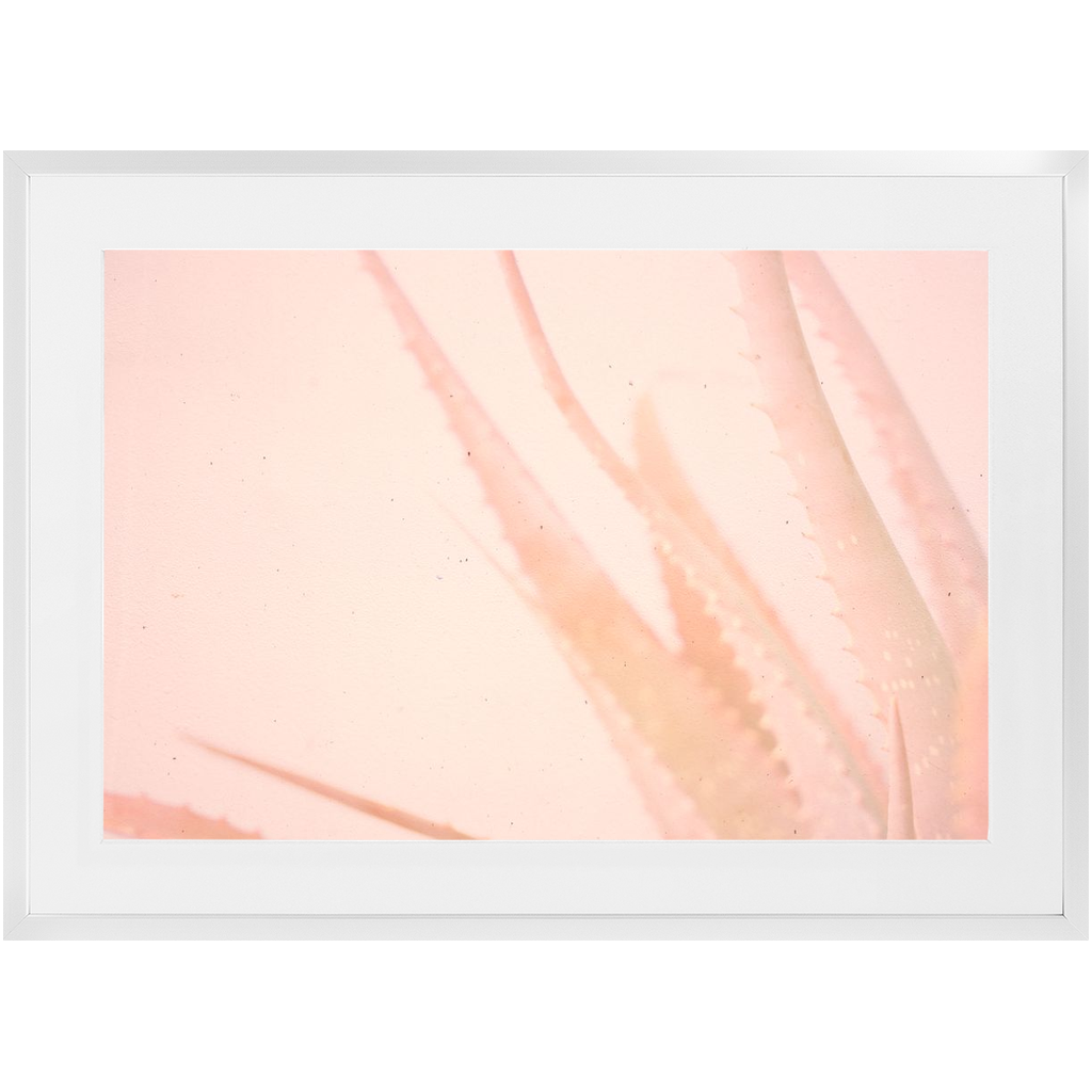 Elegant Imperfections No.1