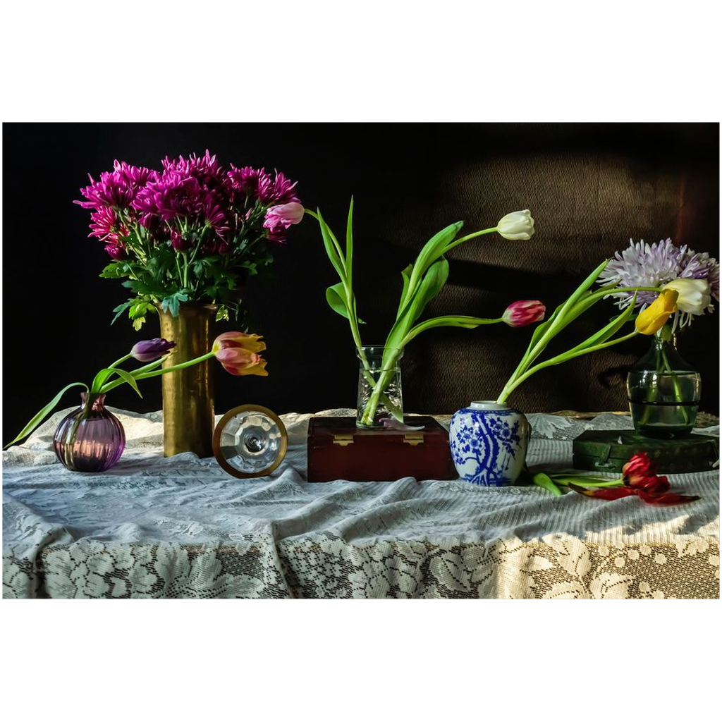 Chiaroscuro & Tulips