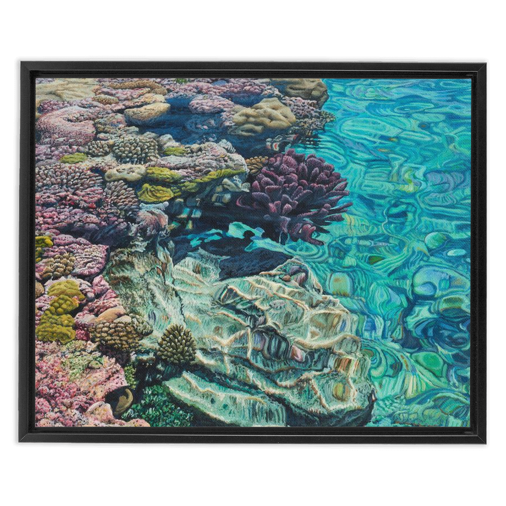 Coral Apocalypse