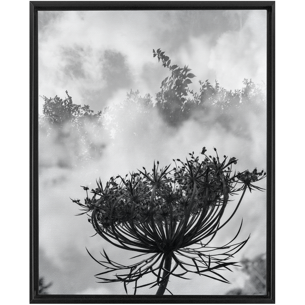 Fog to the Clouds