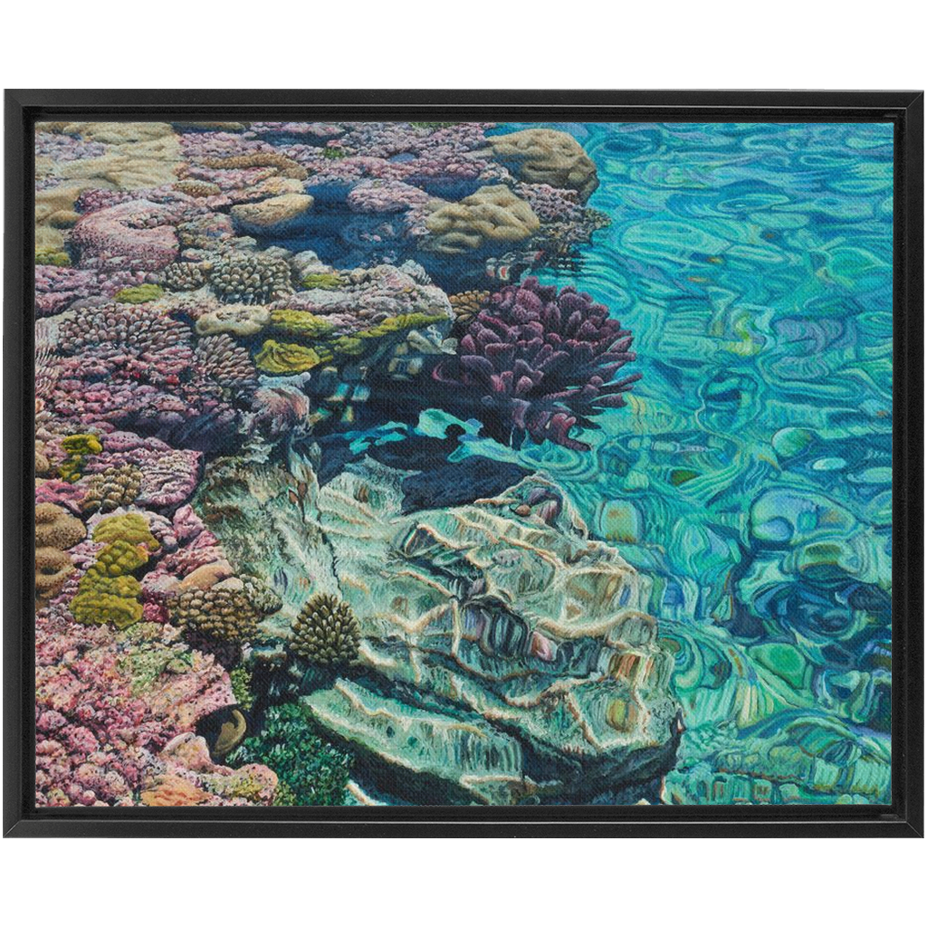 Coral Apocalypse