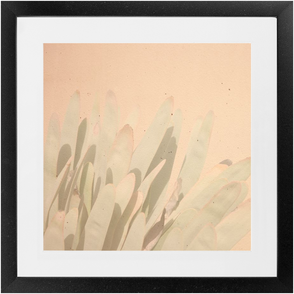 Elegant Imperfections No.3