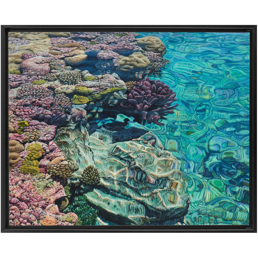 Coral Apocalypse