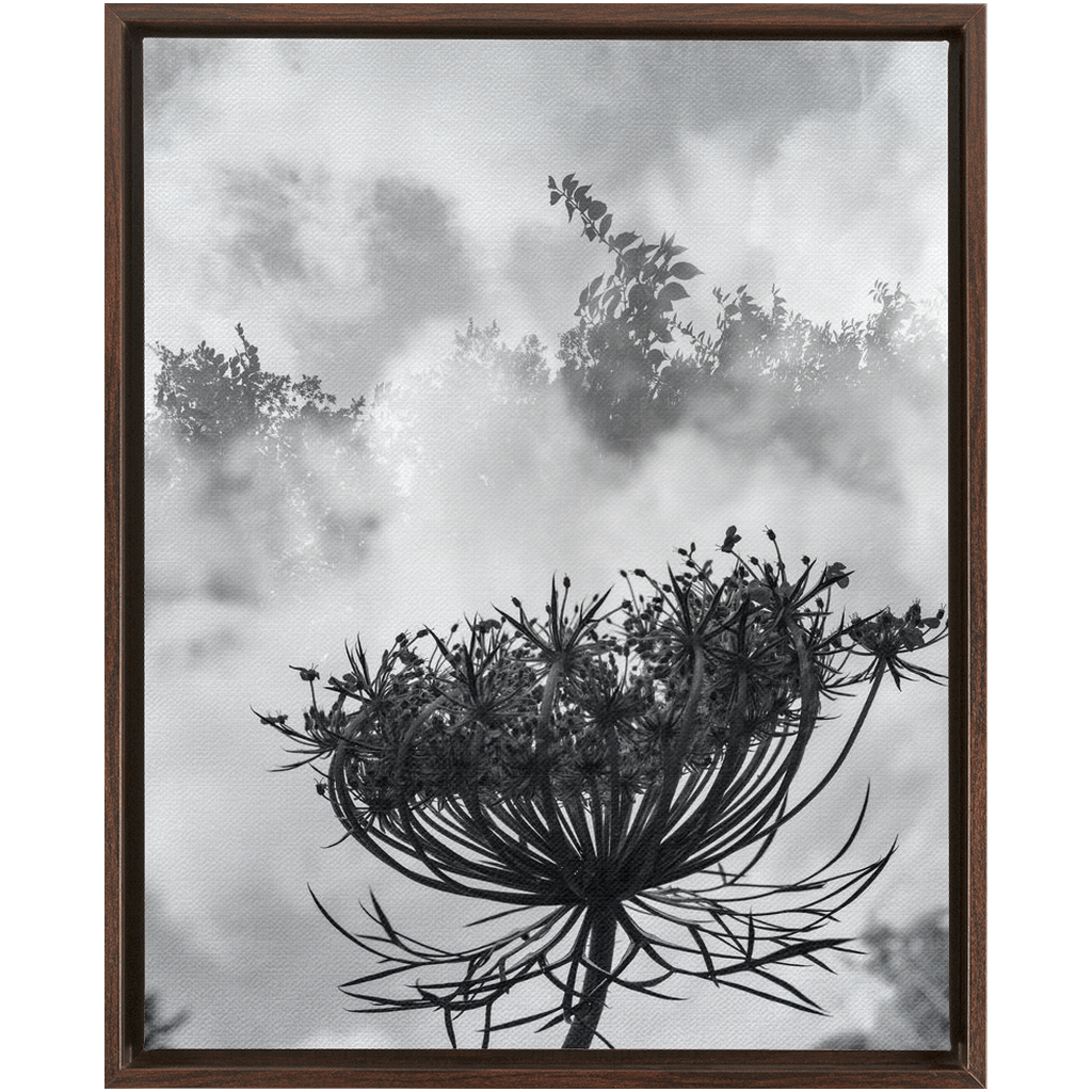 Fog to the Clouds