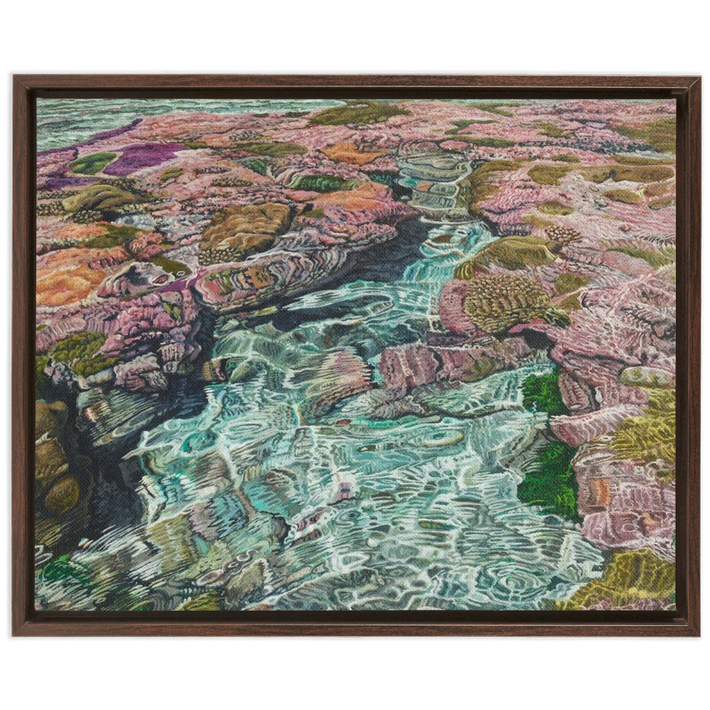 Coral Apocalypse