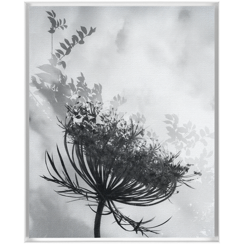 Dancing with the Clouds