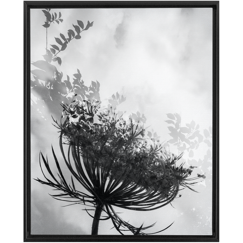 Dancing with the Clouds