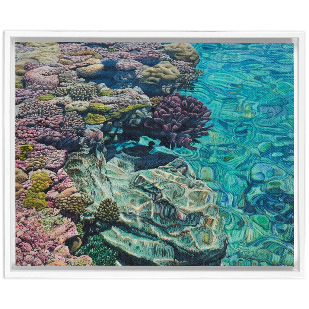 Coral Apocalypse