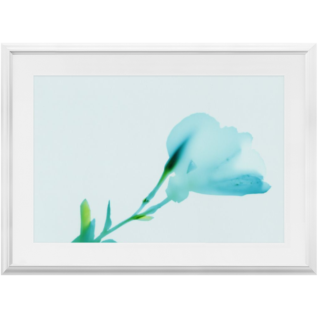 Polaroid Colour Study