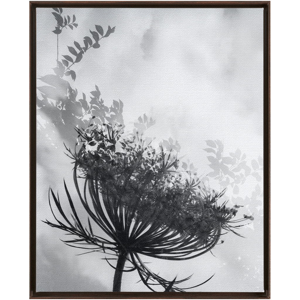 Dancing with the Clouds