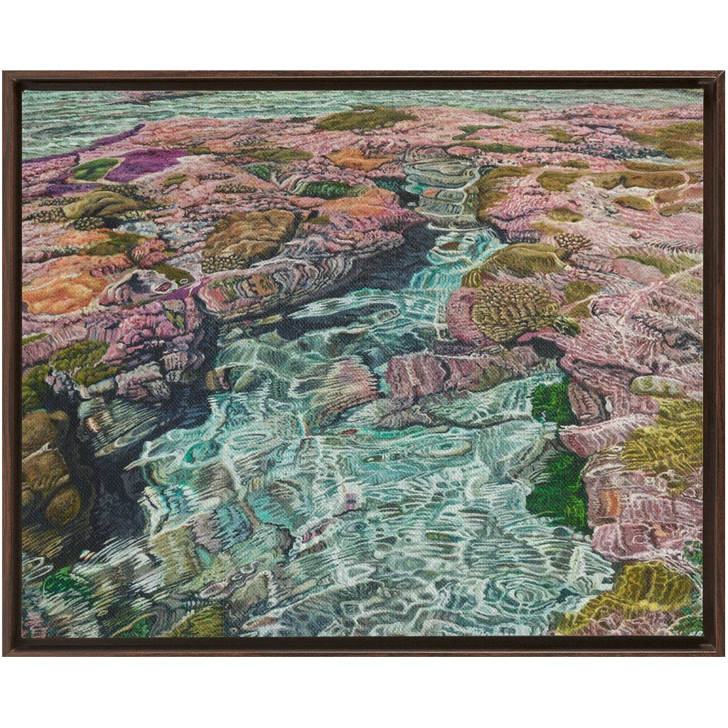 Coral Apocalypse