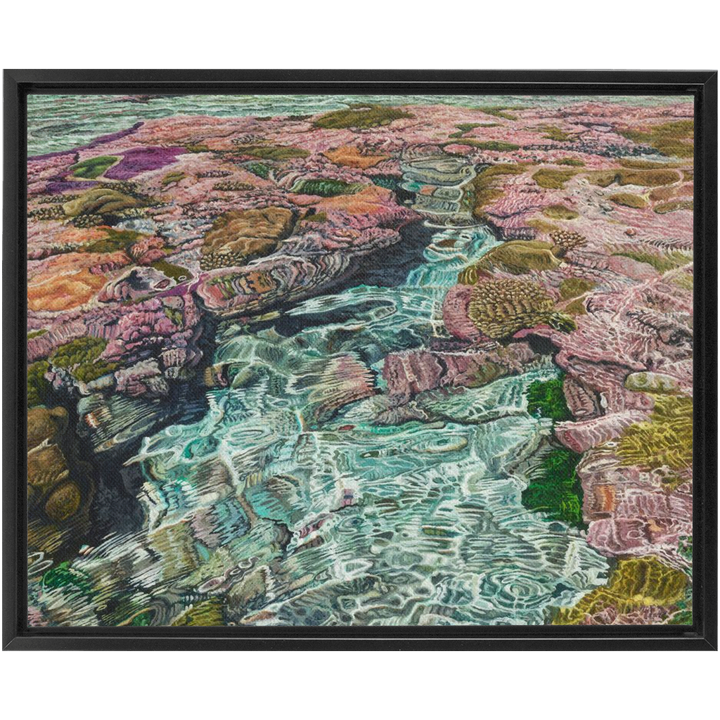 Coral Apocalypse