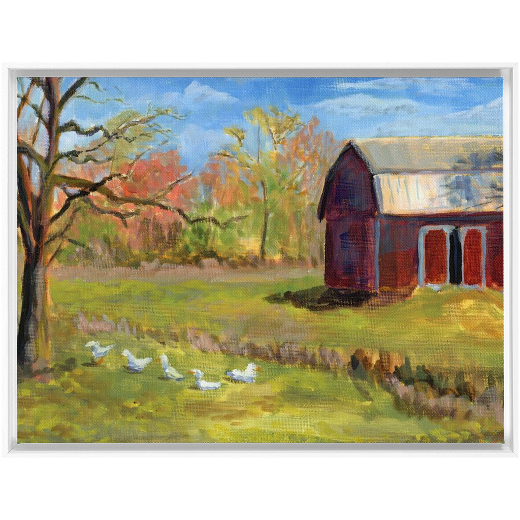 Ducks On The Farm