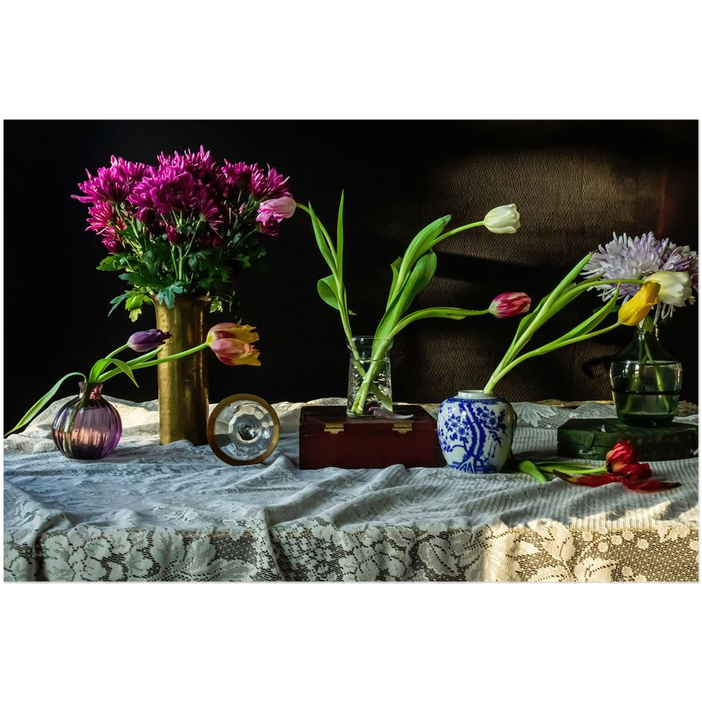 Chiaroscuro & Tulips