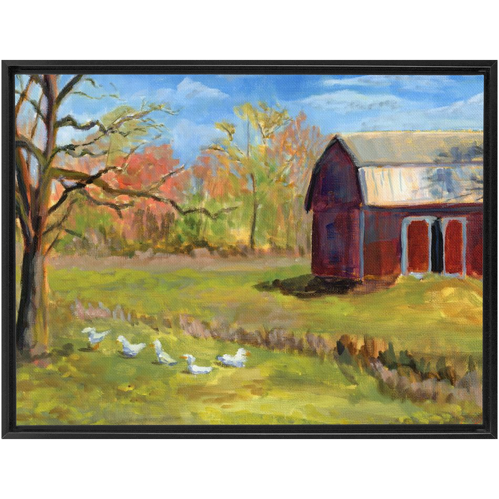 Ducks On The Farm