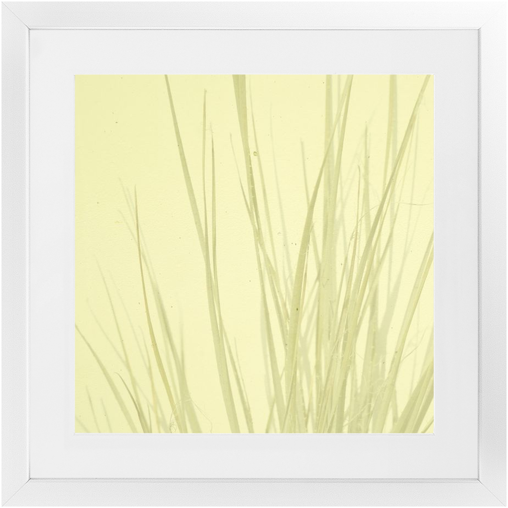 Imperfect Elegance No. 7