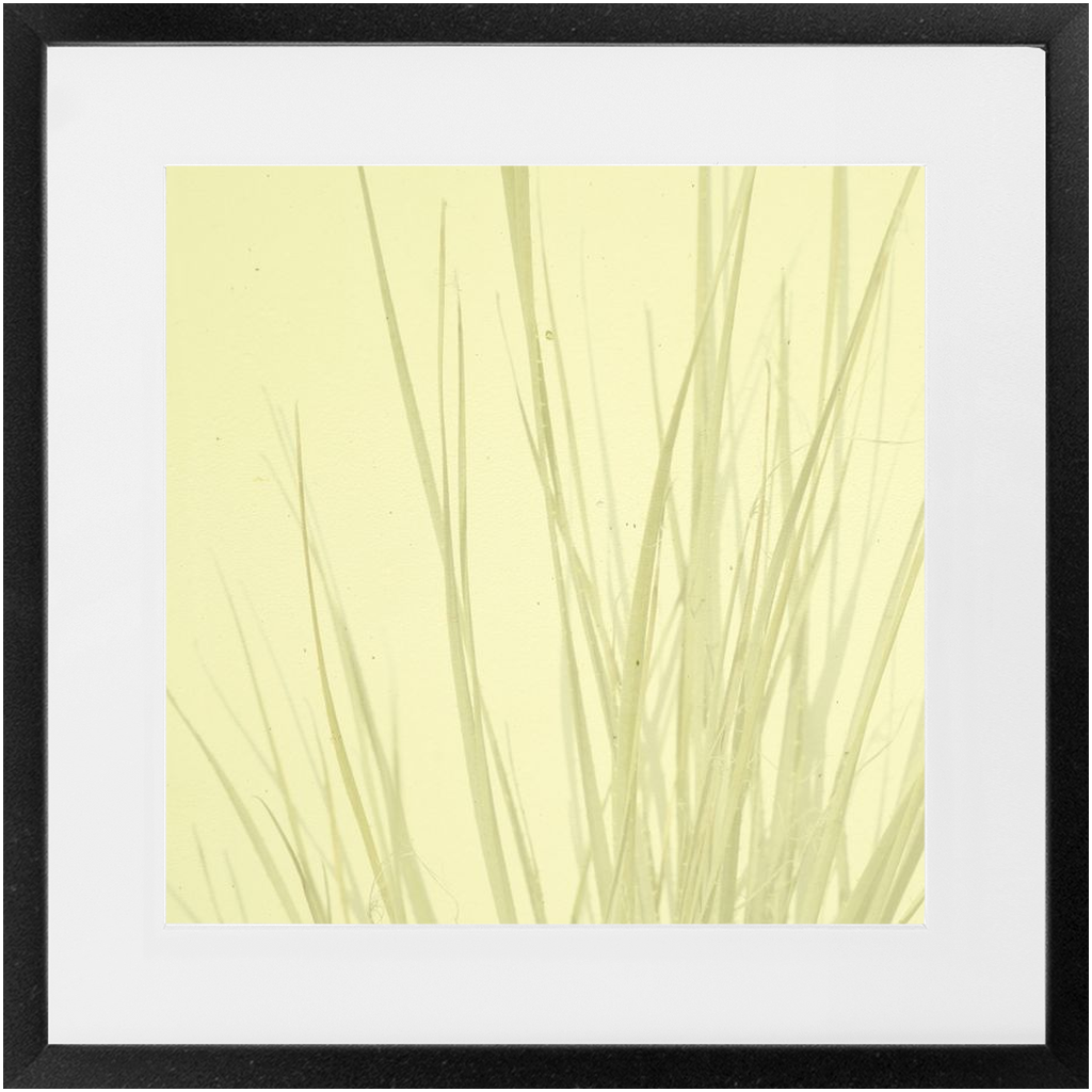 Imperfect Elegance No. 7