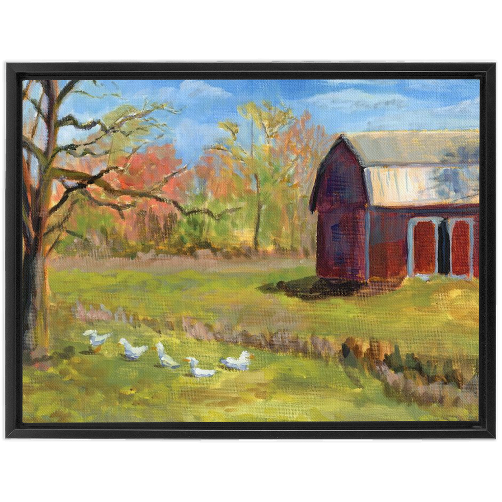 Ducks On The Farm