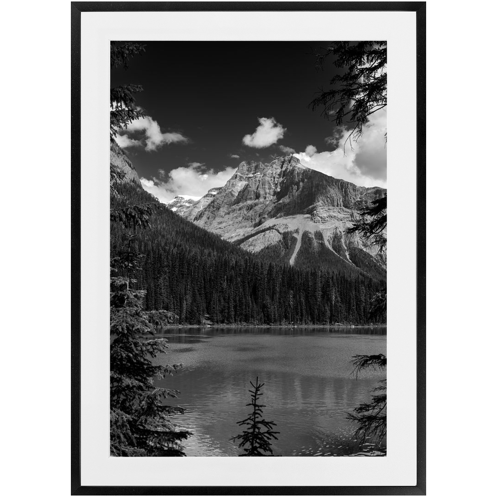 Lake, Trees & Mountains