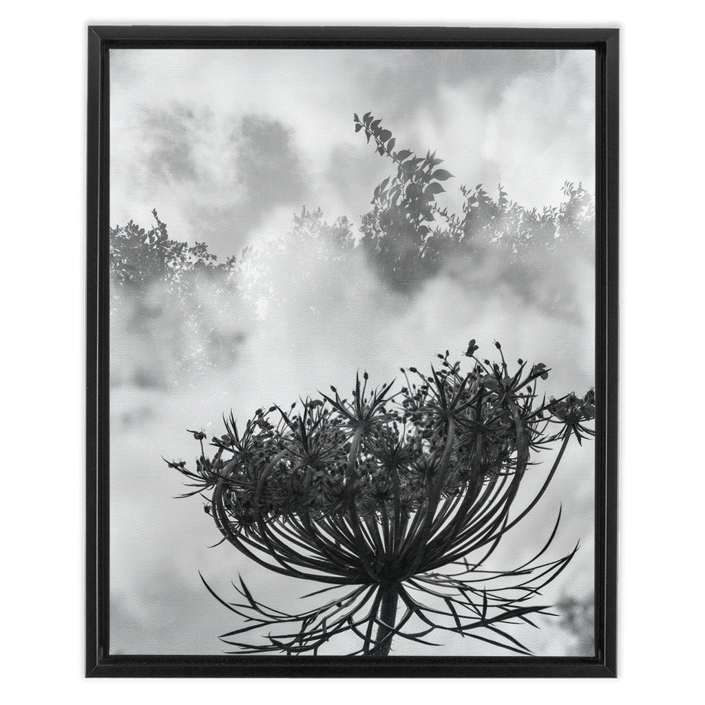 Fog to the Clouds