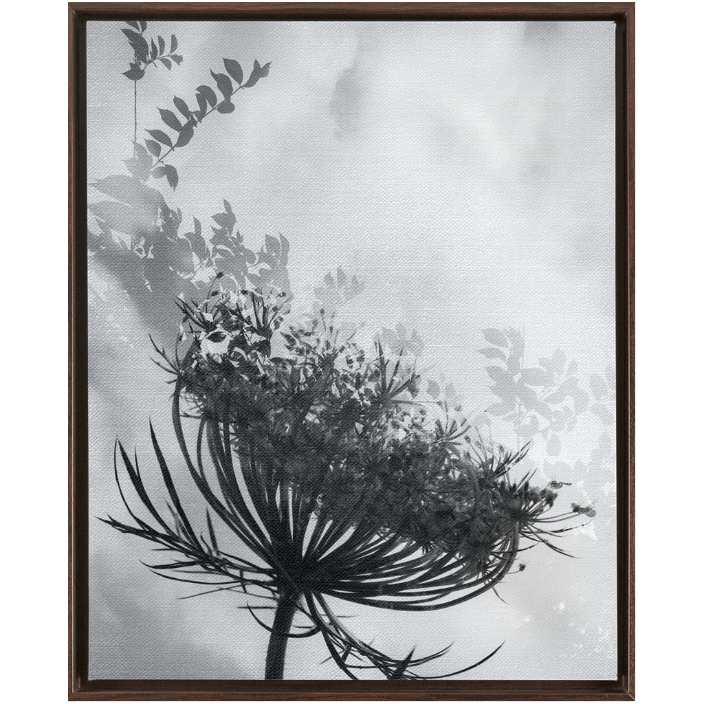 Dancing with the Clouds