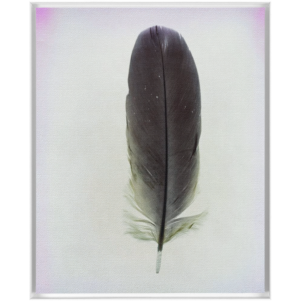 Feather Study