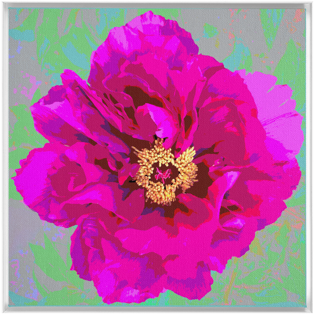 Pink Peony