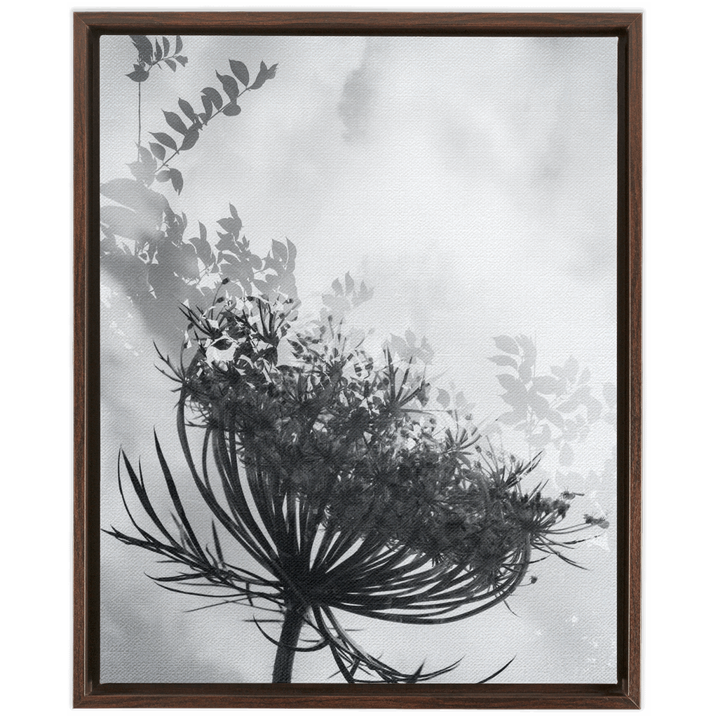 Dancing with the Clouds