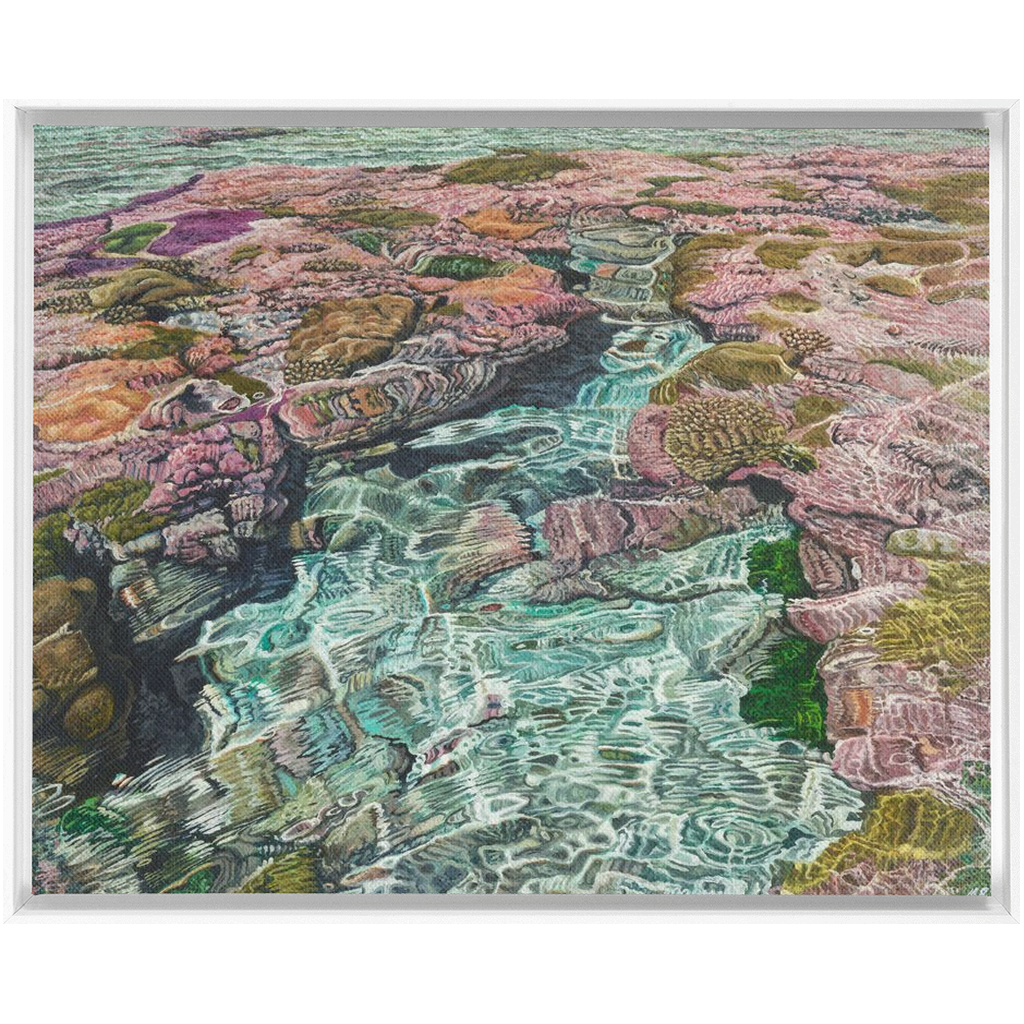 Coral Apocalypse