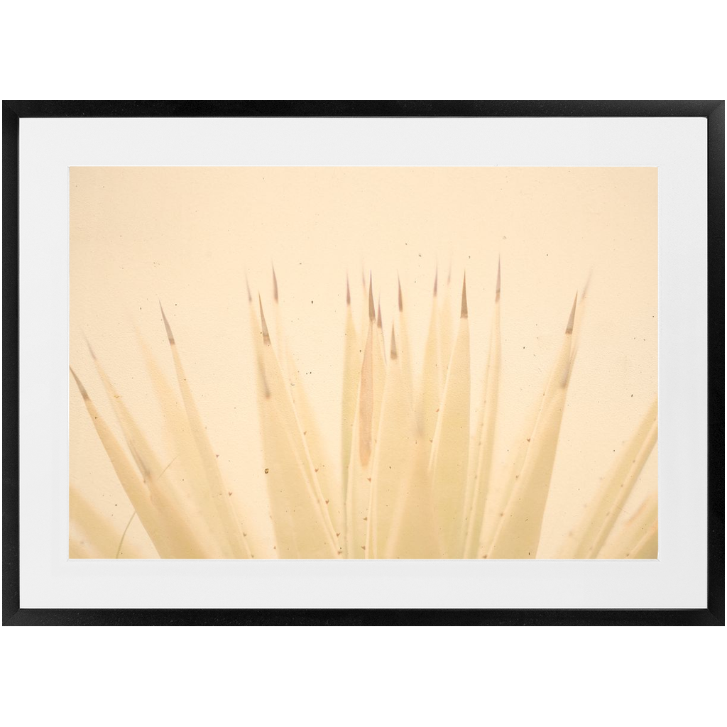 Imperfect Elegance No.4