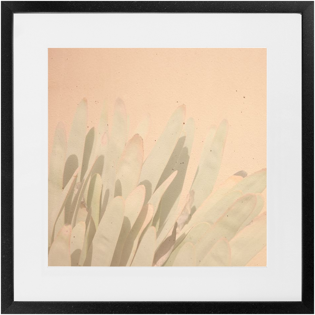 Elegant Imperfections No.3