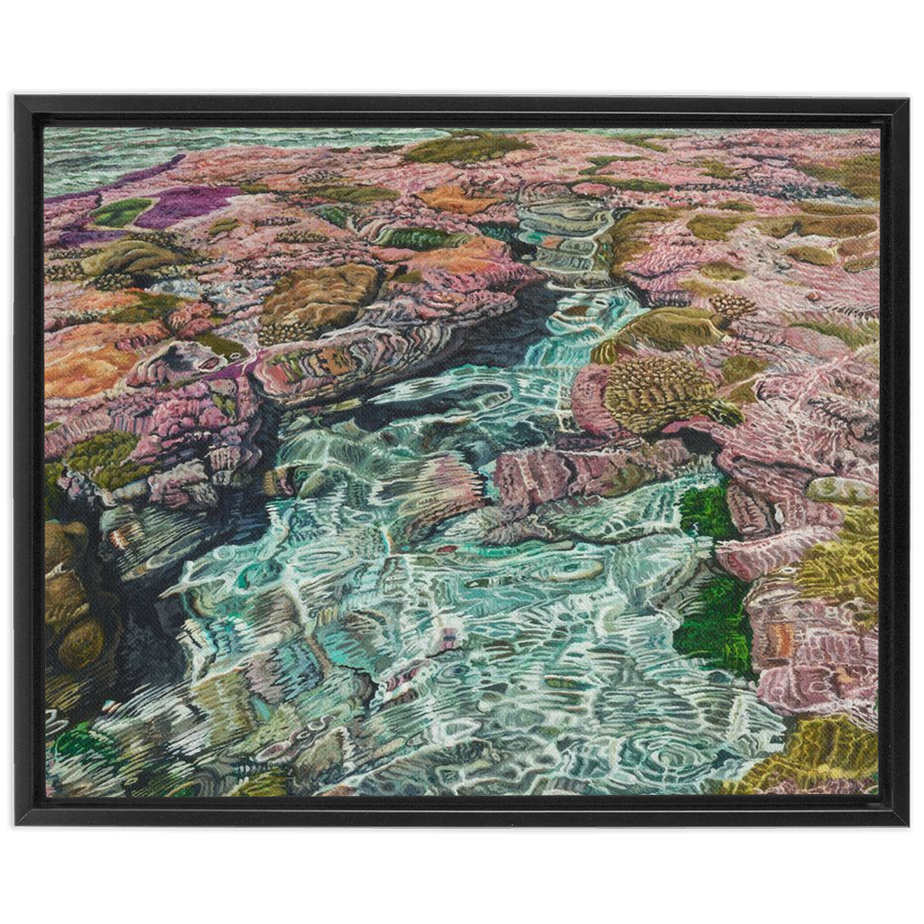 Coral Apocalypse