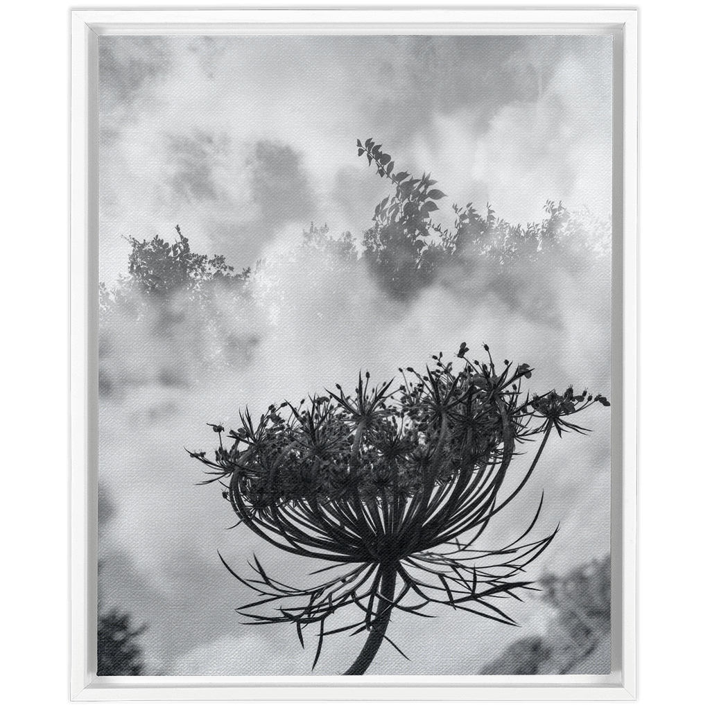 Fog to the Clouds