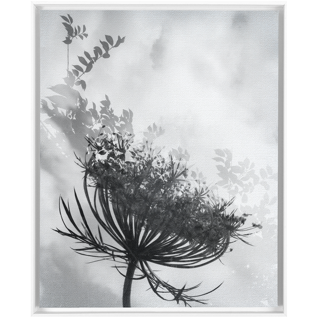 Dancing with the Clouds