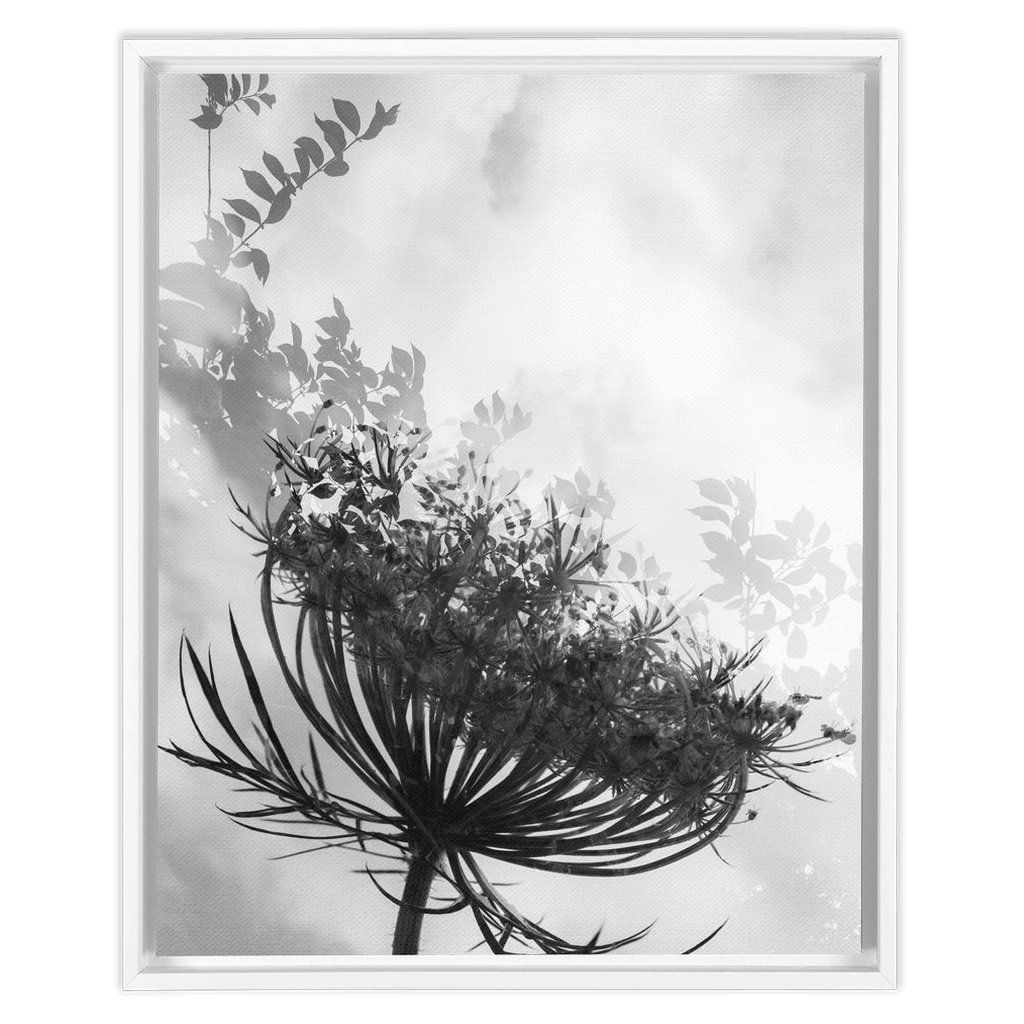 Dancing with the Clouds