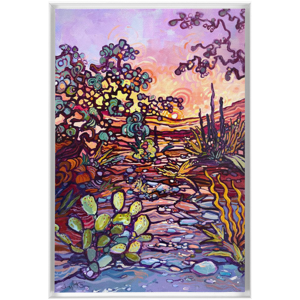 Sonoran Sunset