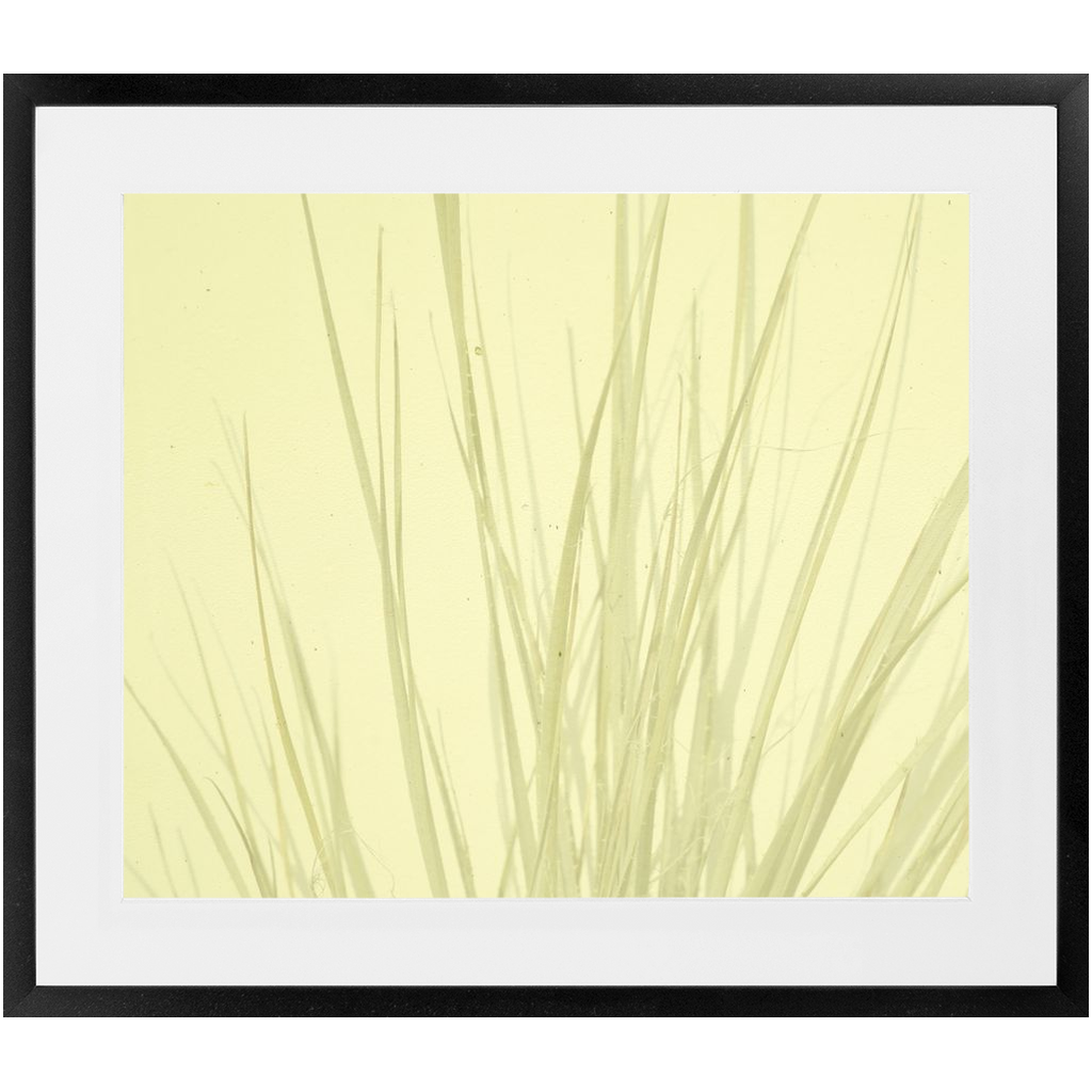 Imperfect Elegance No. 7
