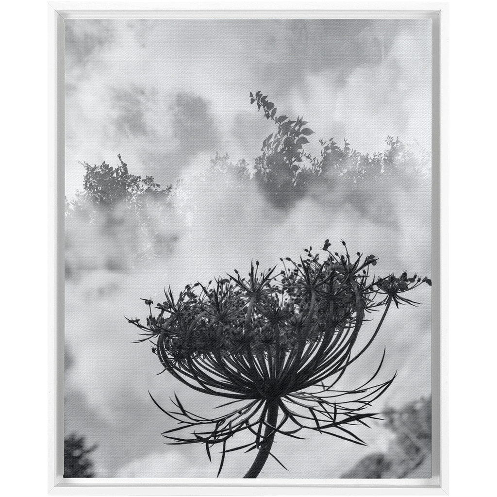 Fog to the Clouds