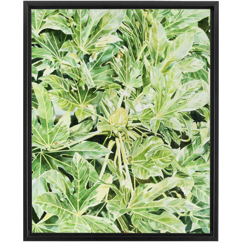 "Japonica"(Variegata)