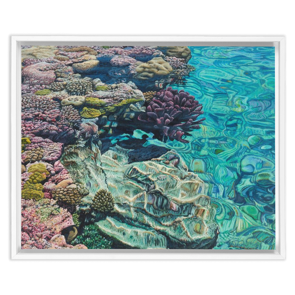 Coral Apocalypse