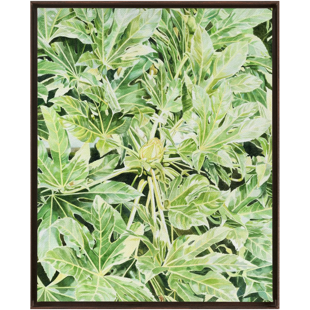 "Japonica"(Variegata)
