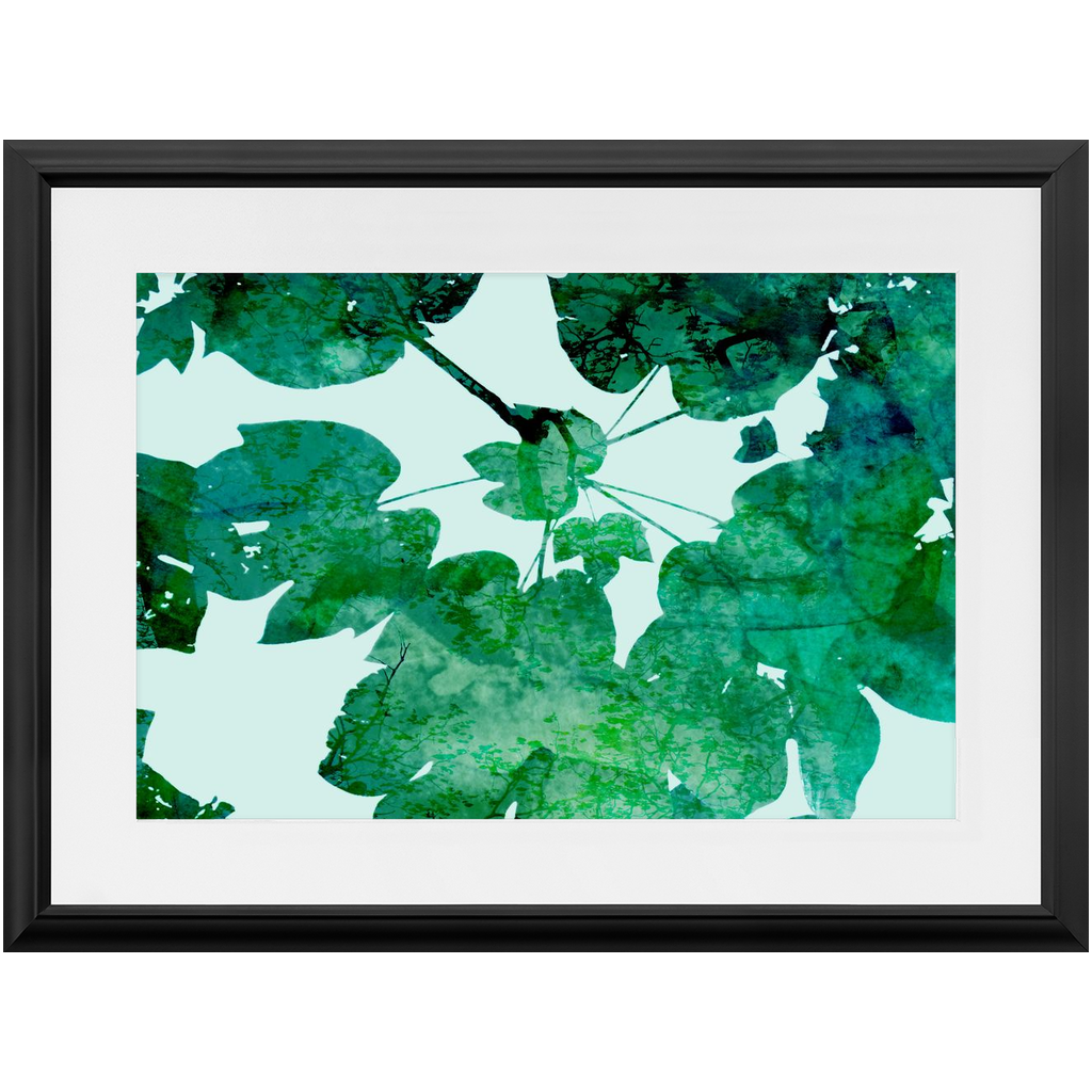 Deep Foliage
