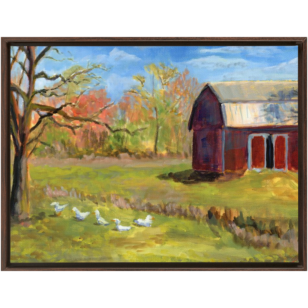 Ducks On The Farm