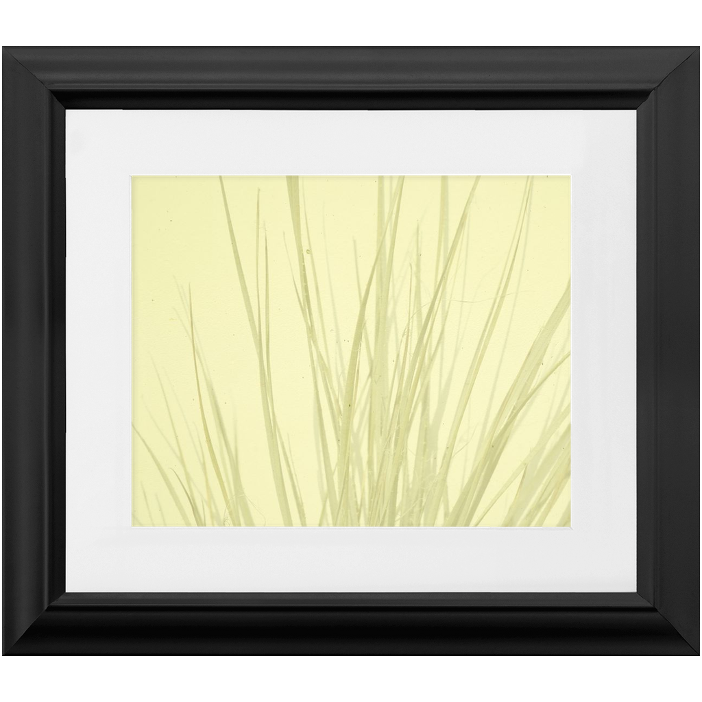 Imperfect Elegance No. 7