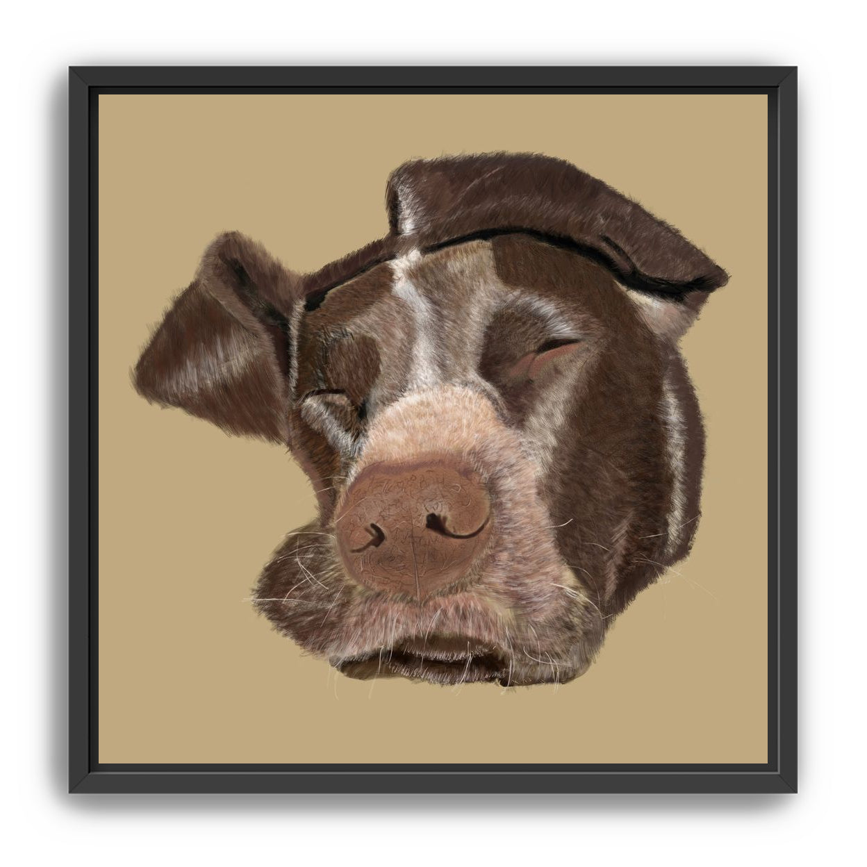 German Shorthaired Pointer