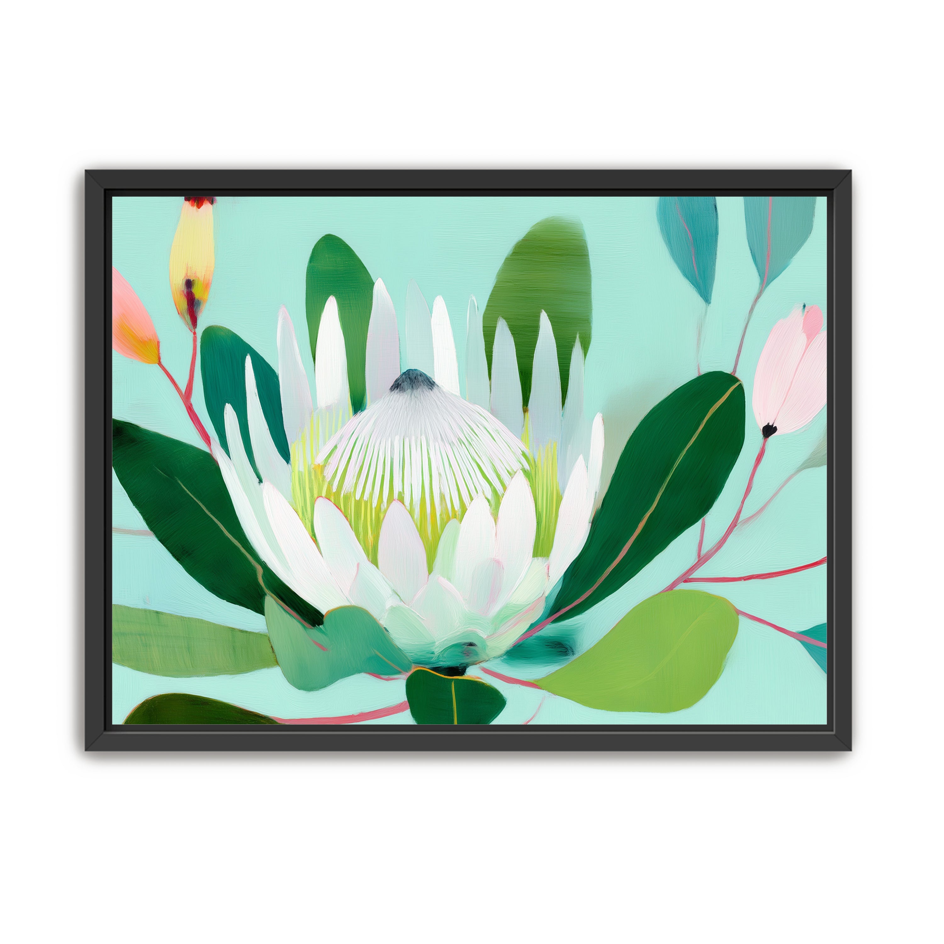 Australian Flora 4
