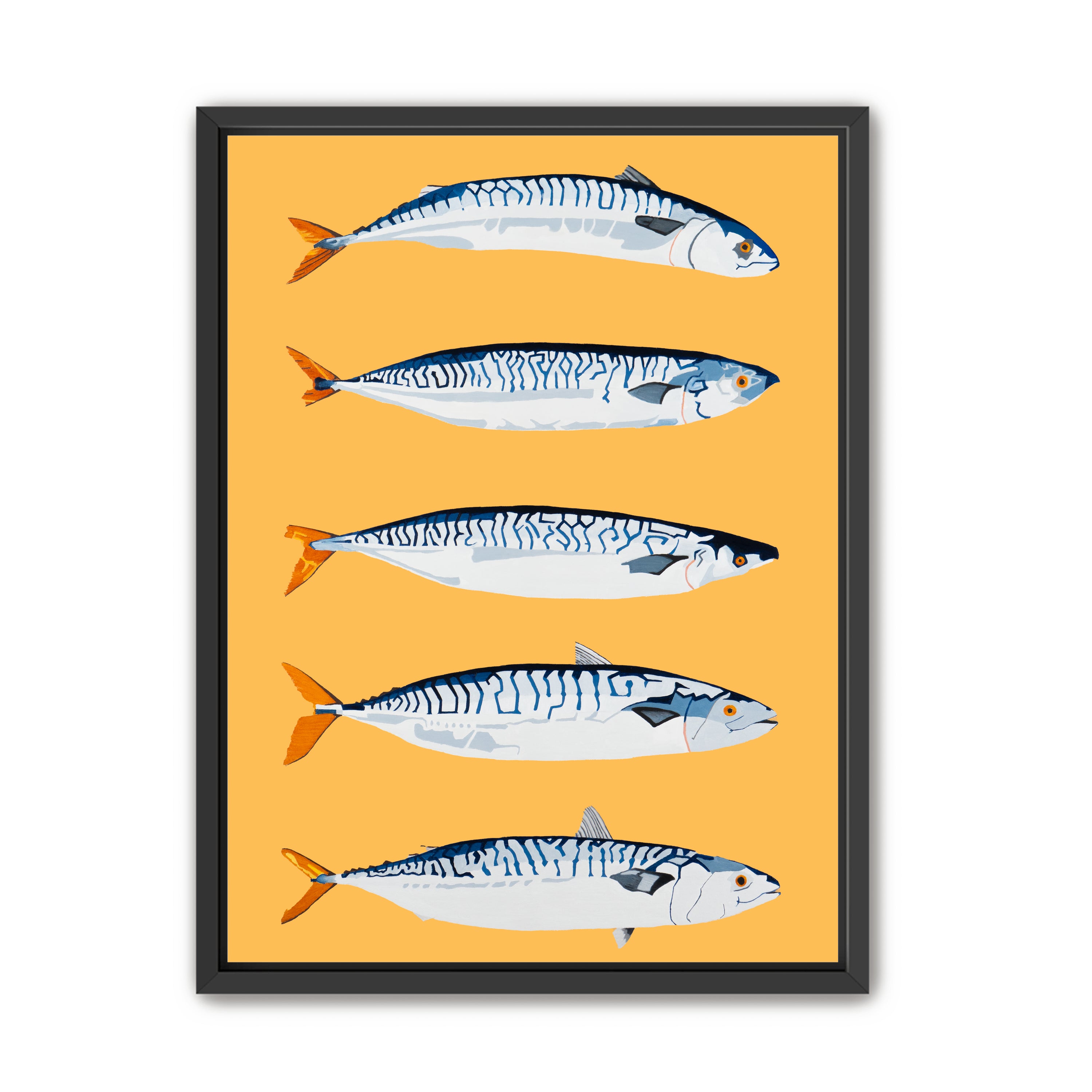 The Freshwater Five