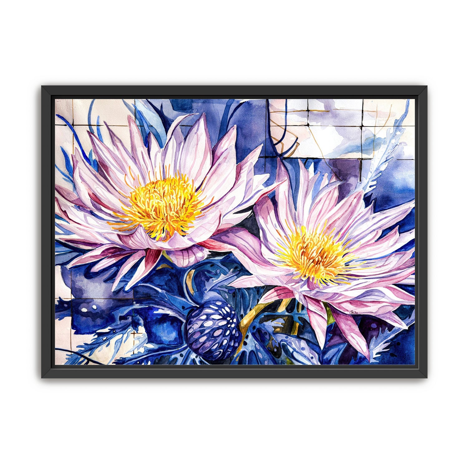 Purple Carpobrotus edulis